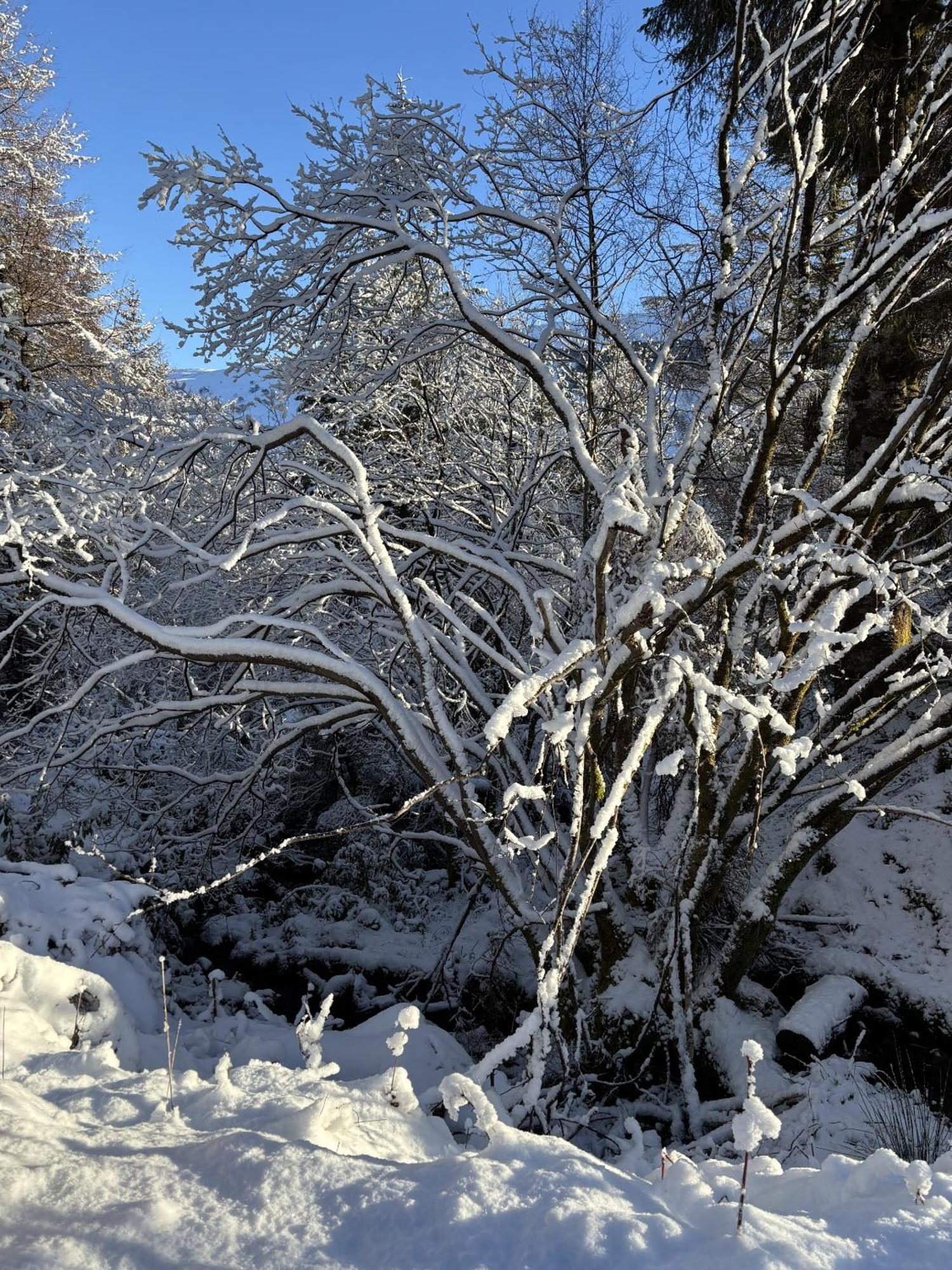 Bright Star Lodge Spean Bridge Esterno foto