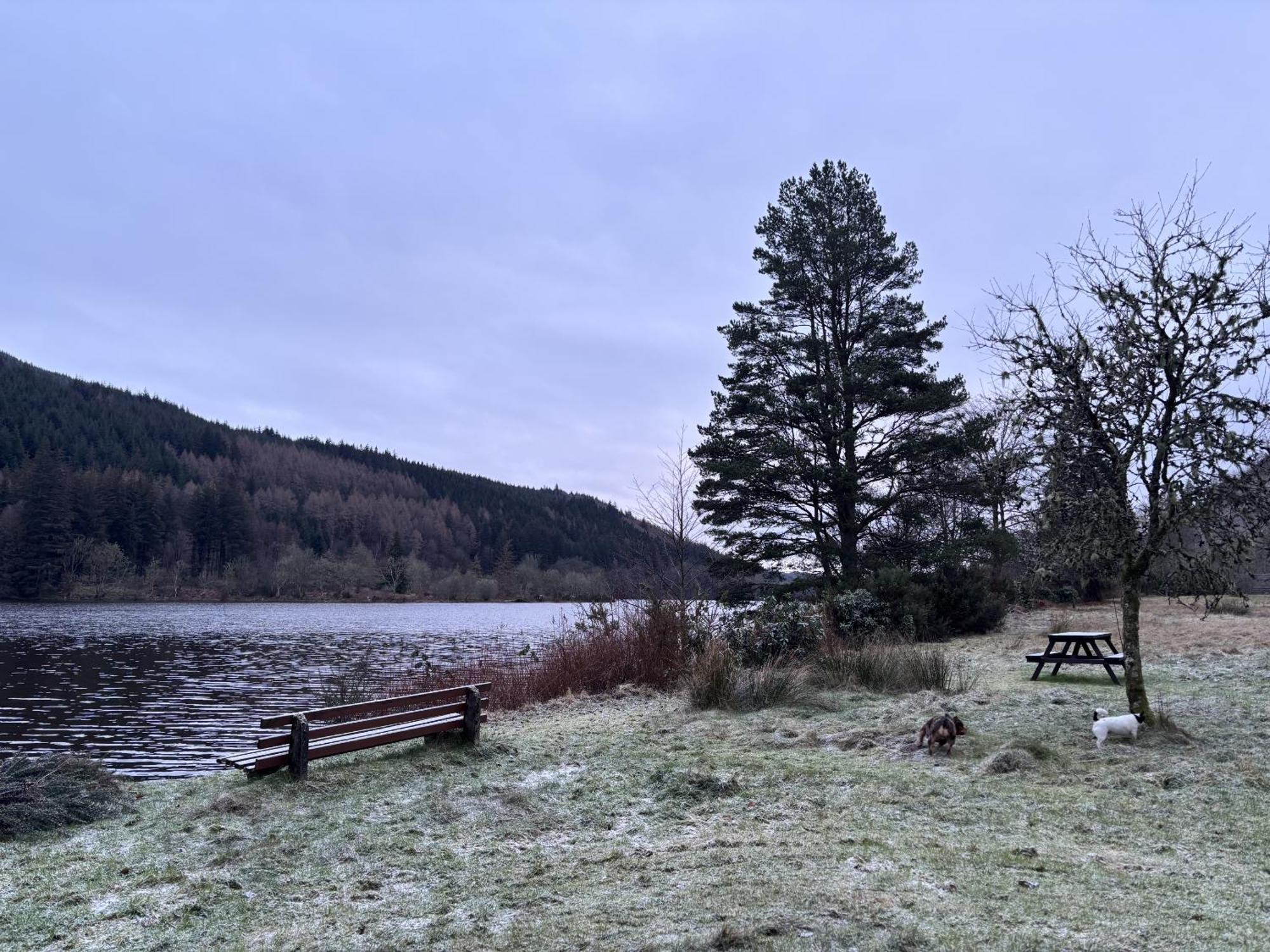 Bright Star Lodge Spean Bridge Esterno foto